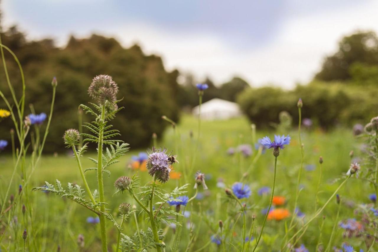 Fernhill House Hotel & Gardens Clonakilty Bagian luar foto